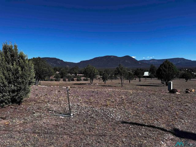61 Oak St, Reserve, NM 87830