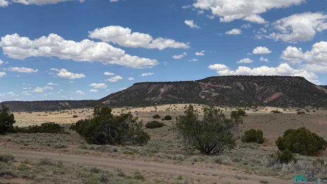 147 Largo Creek Rd, Quemado, NM 87829