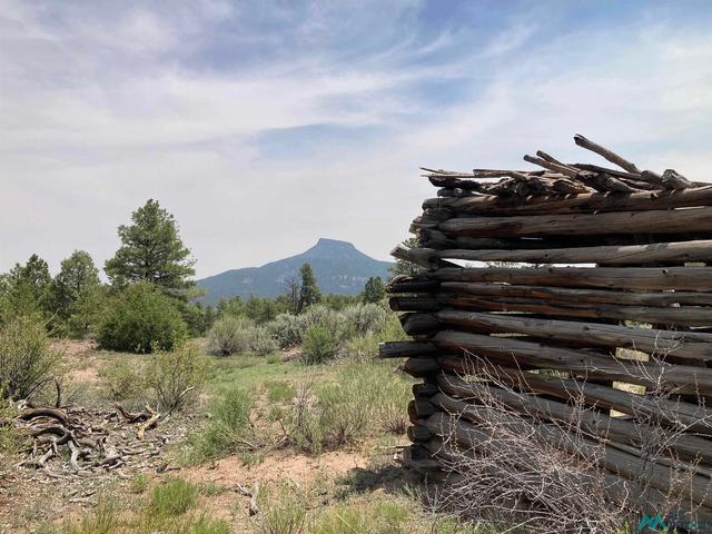Forest Road 100, Youngsville, NM 87064