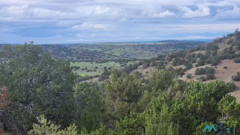 21 Wagon Cir #62, Quemado, NM 87829