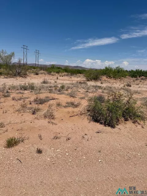 Kiowas, Deming, NM 88030
