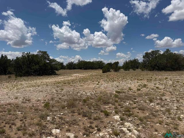 3724 Queens Hwy, Carlsbad, NM 88220