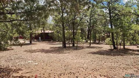 Exterior - 228 El Caso Rd, Quemado, NM 87829 photo 12 of 13