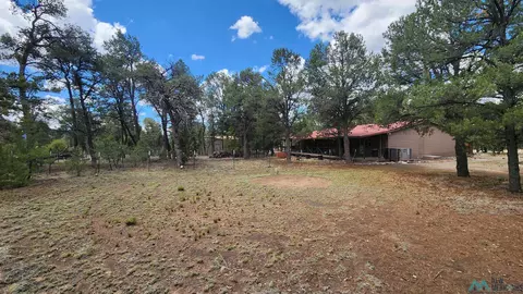 Exterior - 228 El Caso Rd, Quemado, NM 87829 photo 9 of 13