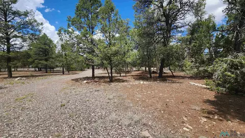 Exterior - 228 El Caso Rd, Quemado, NM 87829 photo 10 of 13