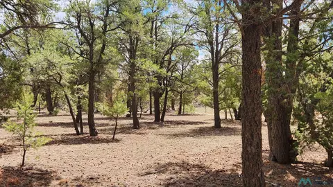 Other - 228 El Caso Rd, Quemado, NM 87829 photo 12 of 15