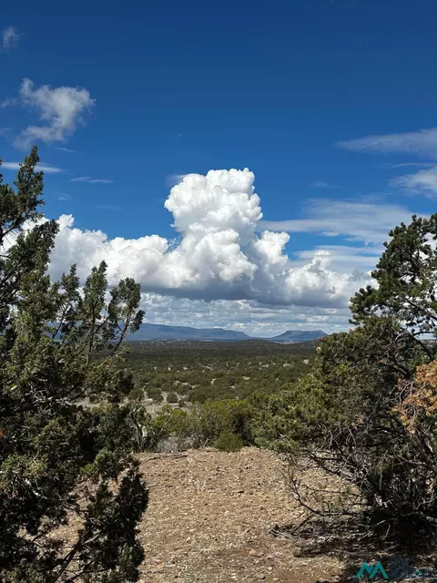 Other - 27 Metate, Datil, NM 87821 photo 13 of 17