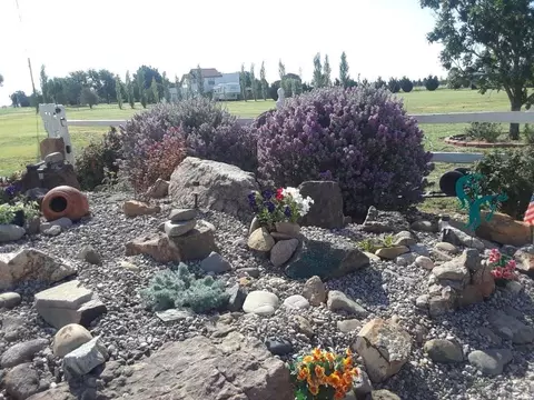 Exterior - 931 State Road 77, Clovis, NM 88101 photo 13 of 16