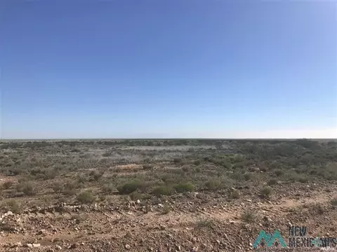 39 Chickisaw Rd, Hagerman, NM 88232