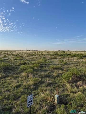 1789 Moreland Rd, Portales, NM 88130