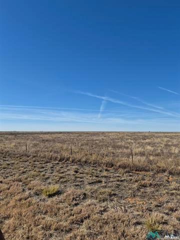 5950 206 Hwy, Pep, NM 88126