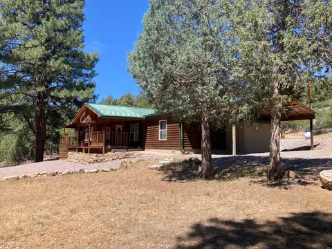 64 Buena Vista Dr, Los Ojos, NM 87551