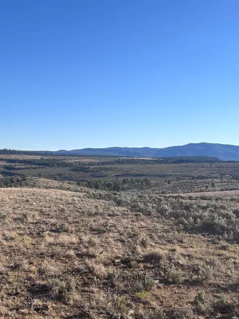 0 Tierra #31, Amarilla, NM 87575