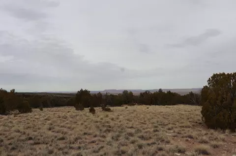 0, Grants, NM 87020