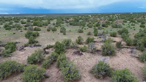 0 #36, Omega, NM 87829