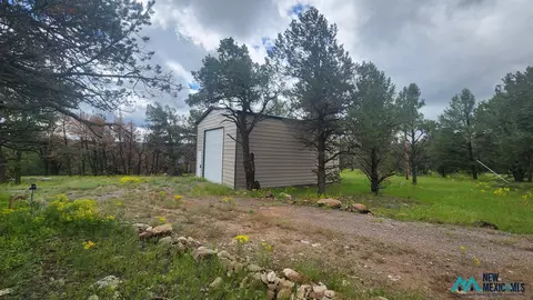 56 El Caso Rd #B-3S, Quemado, NM 87829