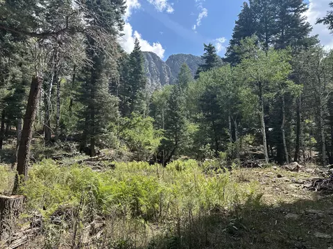 0 #33, Chama, NM 87520