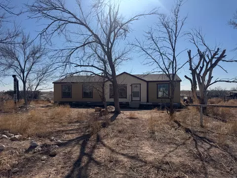 185 Blevins Rd E, Artesia, NM 88210