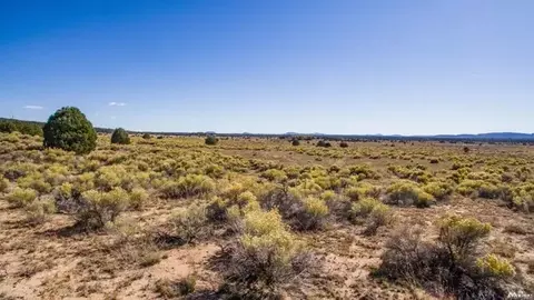 0, Pinehill, NM 87357 photo 14