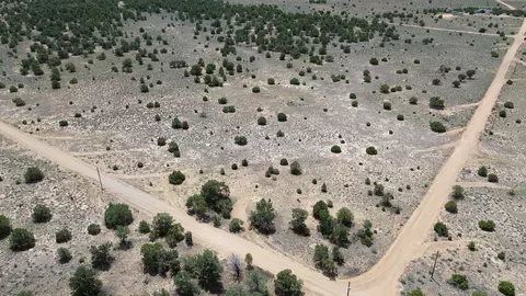 0 Pie #129, Town, NM 87827