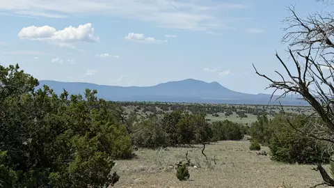 22 Running Bear Cir #93, Quemado, NM 87829