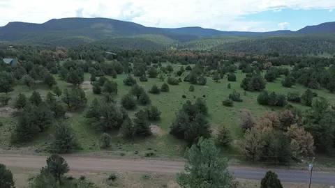 0 #12, Quemado, NM 87829