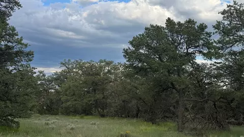 62 Dreamcatcher Dr #45, Fence Lake, NM 87315