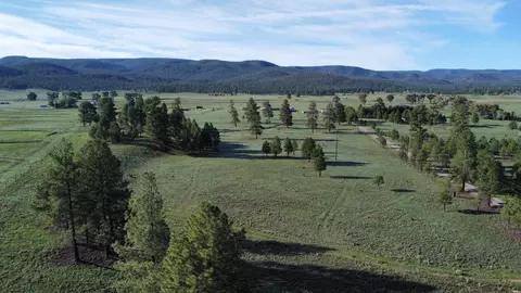 26 Laney Ln, Luna, NM 87824