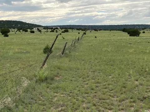 65 Old Rnch, Quemado, NM 87829
