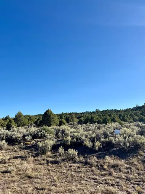 1 E Highway 64 E, Tierra Amarilla, NM 87575