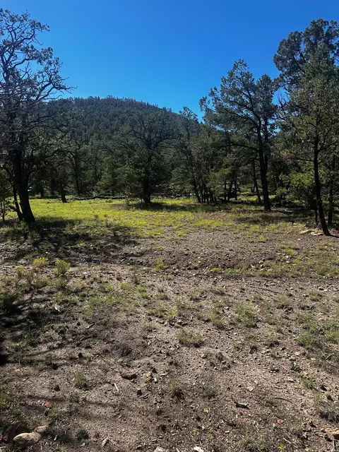 61 Wilderness Cir, Datil, NM 87821 photo 2