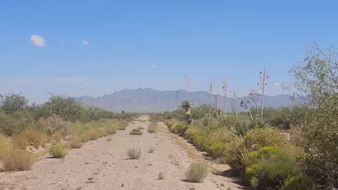 0 Camino Uno #85367, Deming, NM 88030