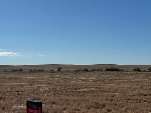 319 Tierra Grande Blvd, Roswell, NM 88203