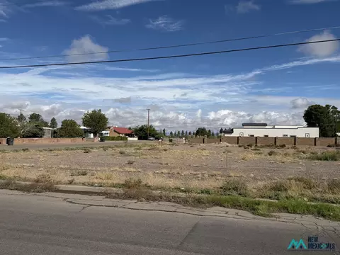 0 Yucca Dr Tract 4, Deming, NM 88030