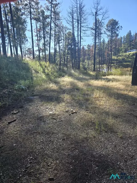 103 Wild Onion Run, Alto, NM 88312