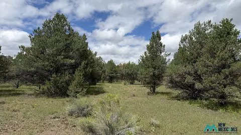 85 Largo Canyon Loop #3, Quemado, NM 87829