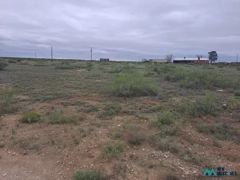 14 Shawnee Ct, Lakewood, NM 88254