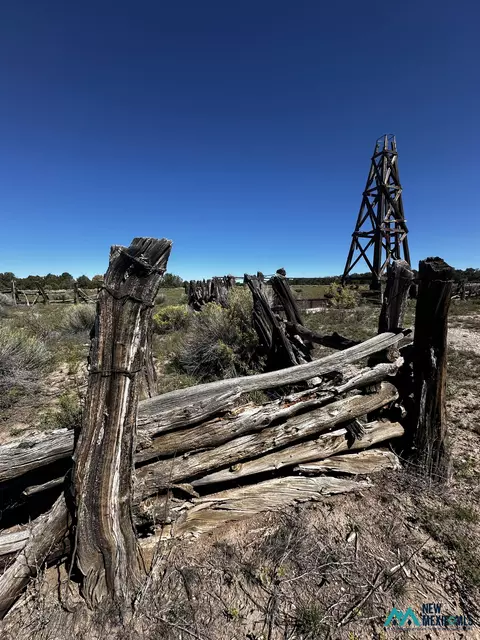 0 Pie, Town, NM 87827