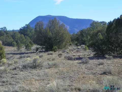 78 E Sawtooth Dr #41, Pie Town, NM 87827