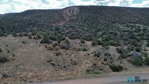 0 Lot 1 Nm-603 #1, Pie Town, NM 87827