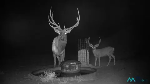 0, Lindrith, NM 87029