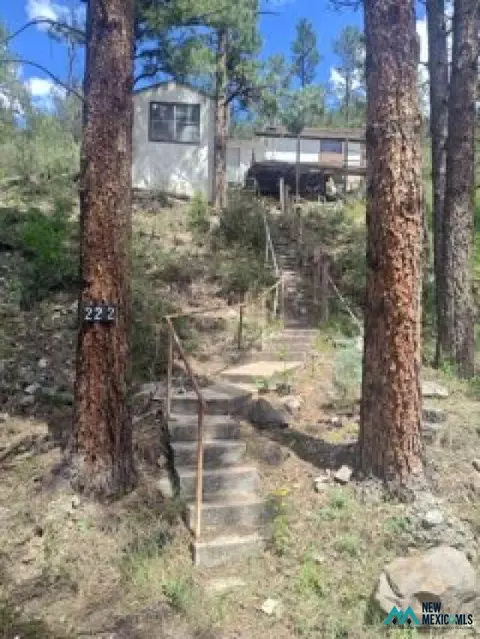 222 Paradise Canyon Dr, Ruidoso, NM 88345