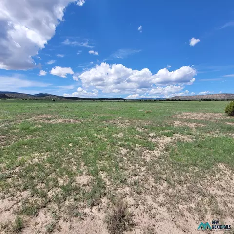 17 Frontier - Lot 17 Trl #17, Datil, NM 87821 photo 3
