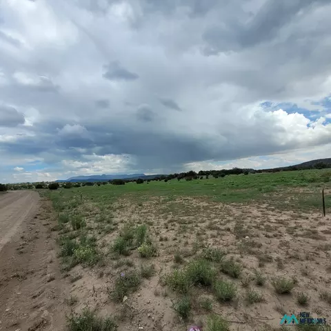 17 Frontier - Lot 17 Trl #17, Datil, NM 87821 photo 11