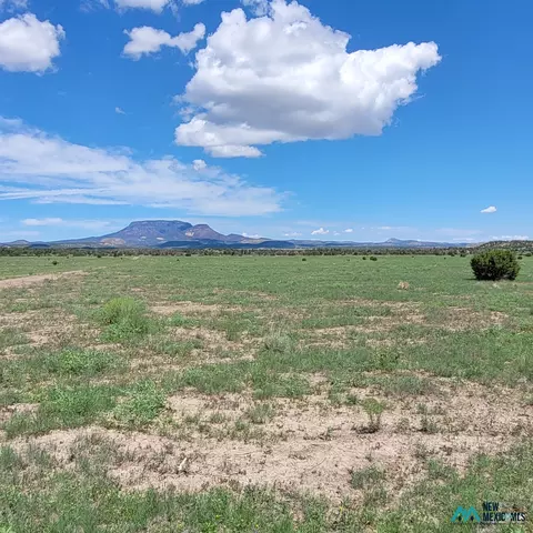 17 Frontier - Lot 17 Trl #17, Datil, NM 87821 photo 12
