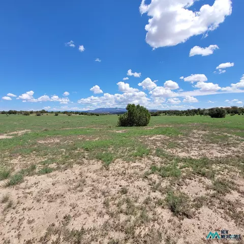 17 Frontier - Lot 17 Trl #17, Datil, NM 87821 photo 5