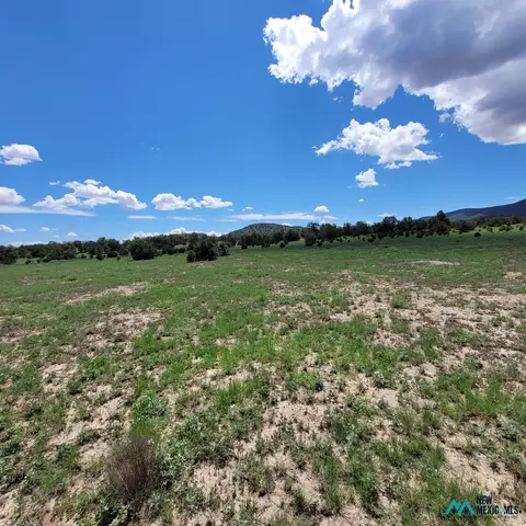 17 Frontier - Lot 17 Trl #17, Datil, NM 87821 photo 15