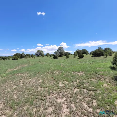 17 Frontier - Lot 17 Trl #17, Datil, NM 87821 photo 13