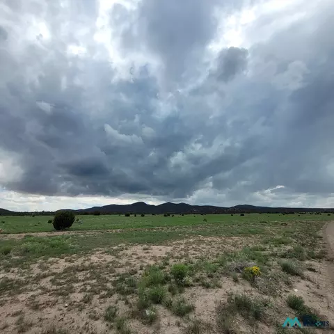 17 Frontier - Lot 17 Trl #17, Datil, NM 87821 photo 10