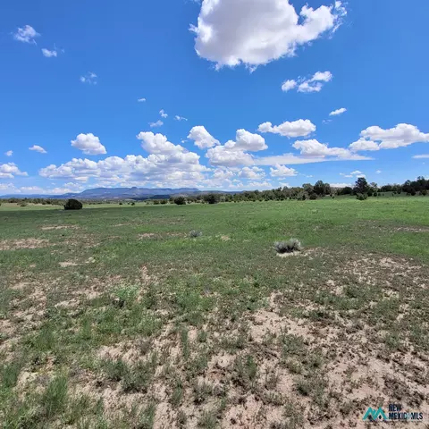 17 Frontier - Lot 17 Trl #17, Datil, NM 87821 photo 7